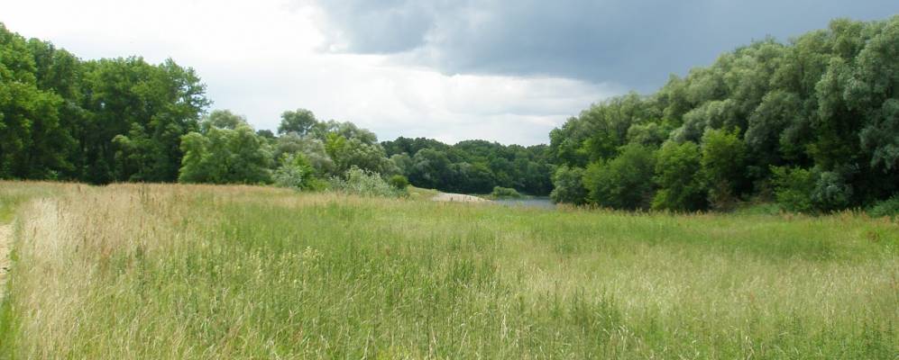 
            Фотография Бояро-Лежачи