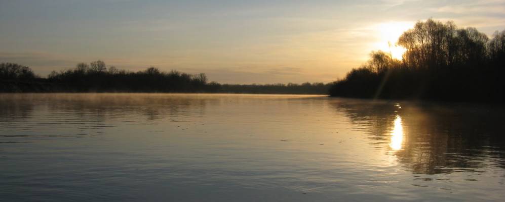 
            Фотография Пружанского Лесничества