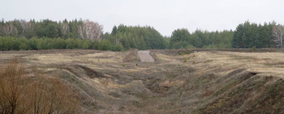 
            Фотография Солонцов