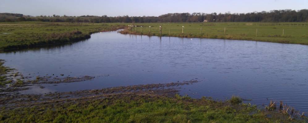 
            Фотография Дичинэма