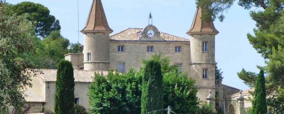 
            Фотография Сосана