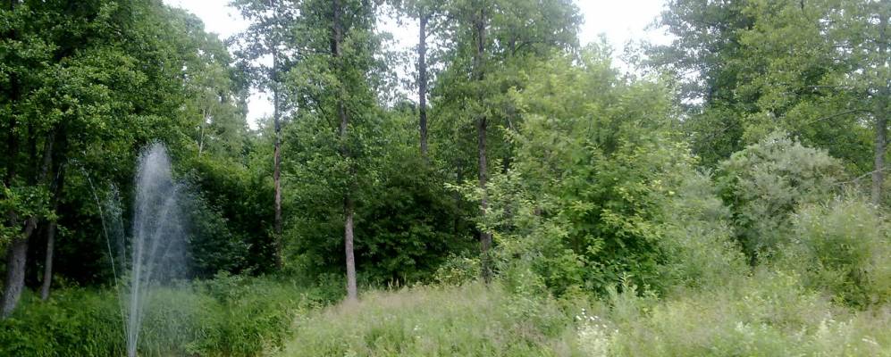 
            Фотография Загорья