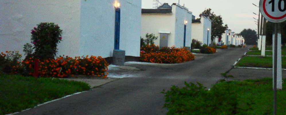 
            Фотография Саковки