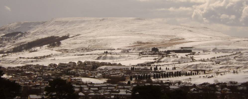 
            Фотография Брайнмора