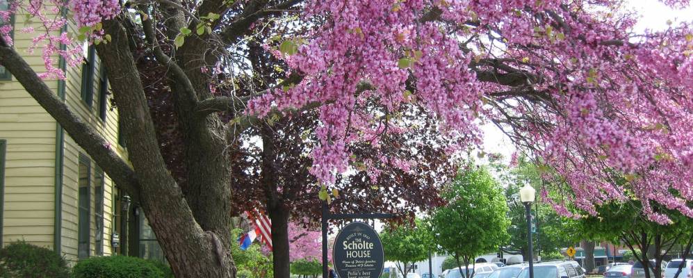 
            Фотография Пеллы