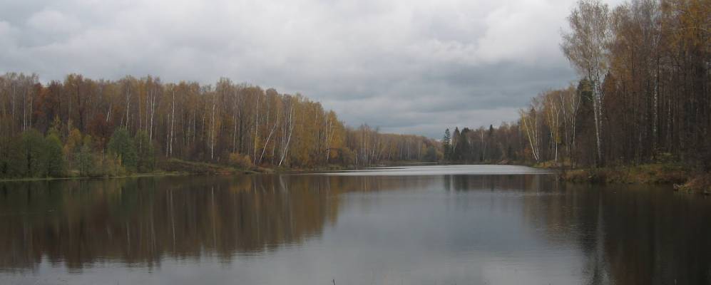 
            Фотография Кабужского