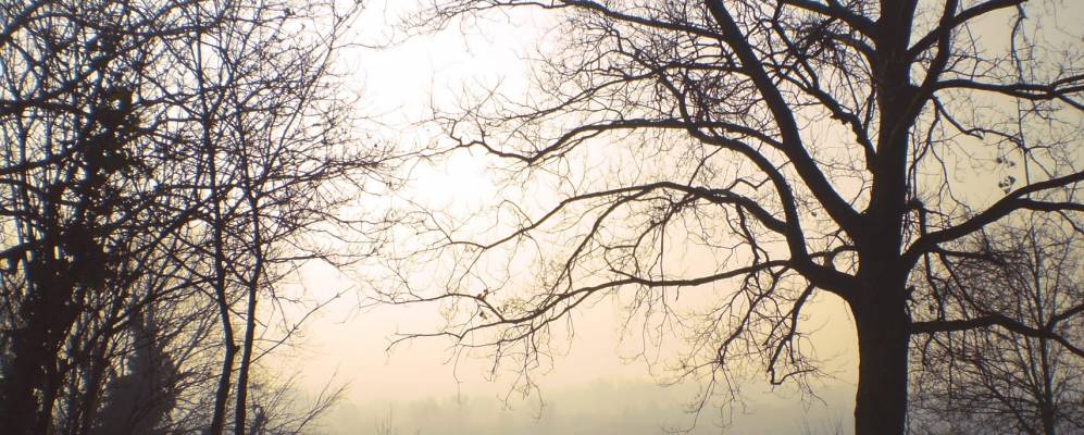 
            Фотография Мирадоло Терме