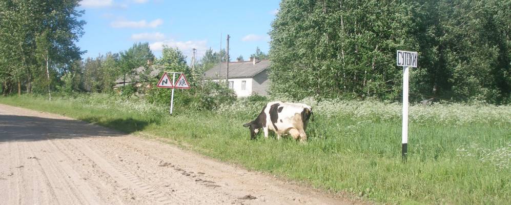 Фотография деревни Защепки