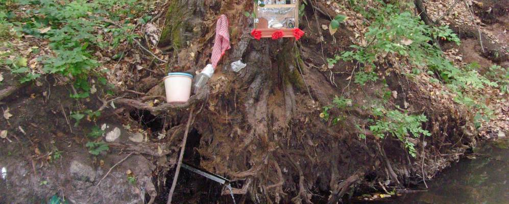 Фотография Орешенки