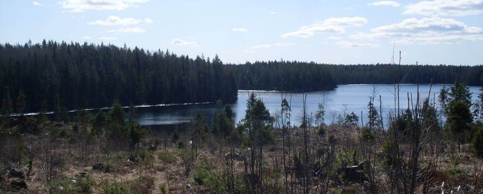 
            Фотография Дозорово