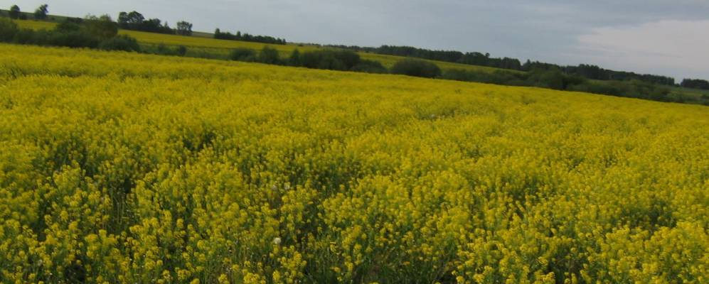 Фотография Большой Колянура