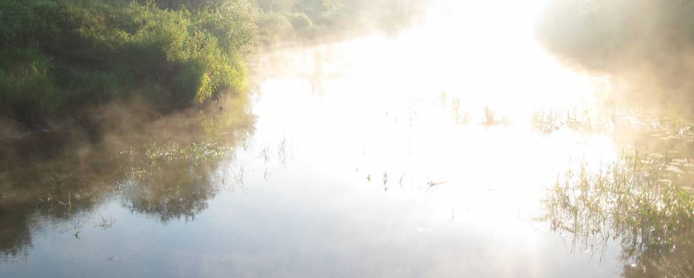 
            Фотография деревни Горбачи