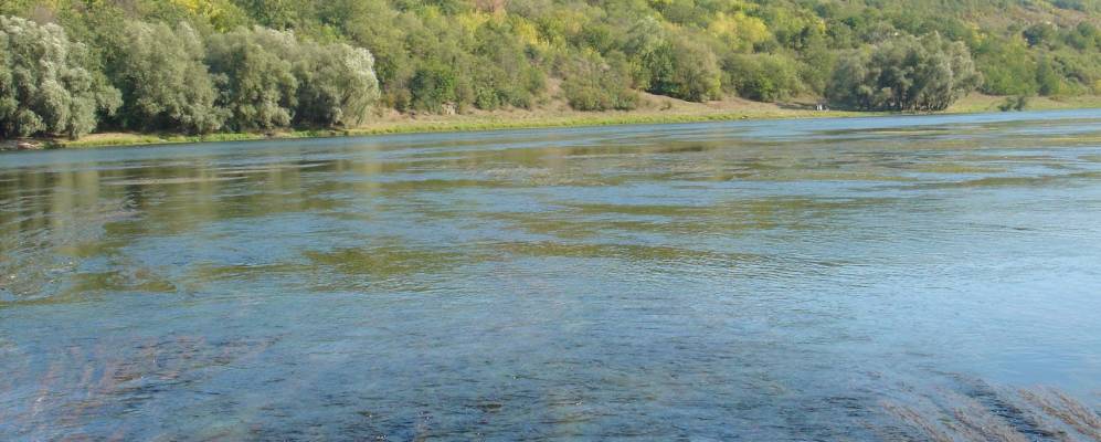 
            Фотография Иванкова