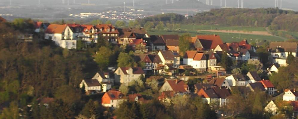 
            Фотография Димельштадта