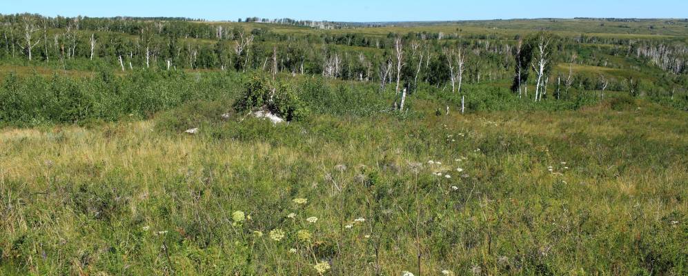 Фотография Владимирской Искры