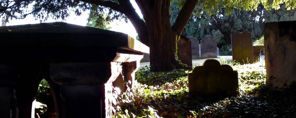 
            Фотография Мэйфилда