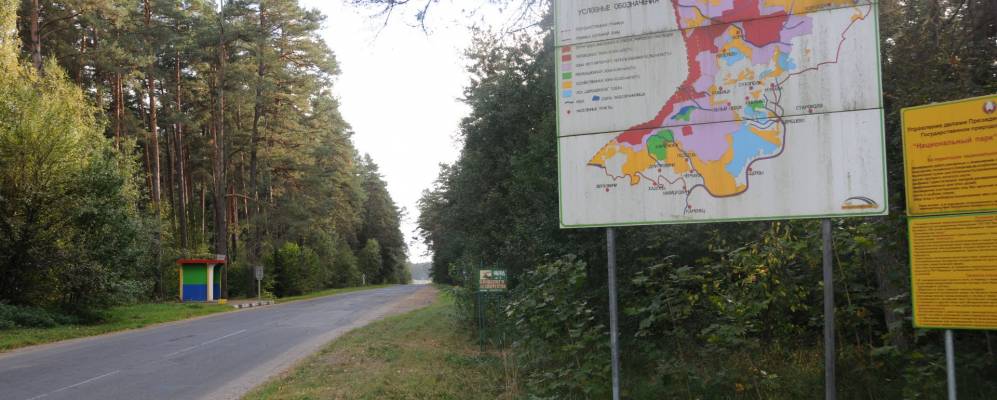 Фотография Романовцев