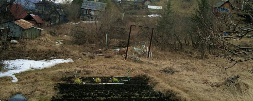 
            Фотография Камаса