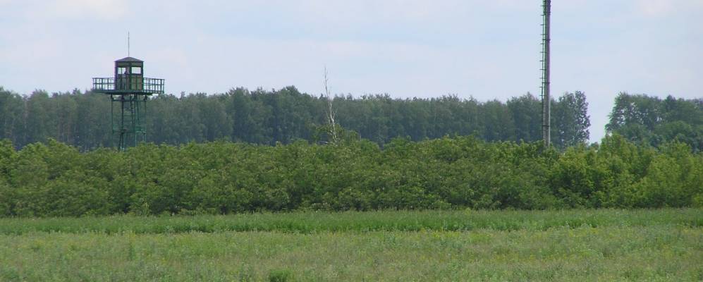 
            Фотография Шевченково