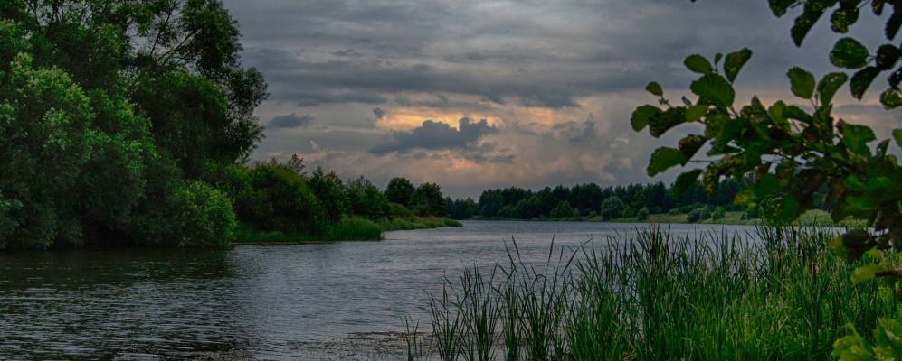
            Фотография Поселка Госплемстанции