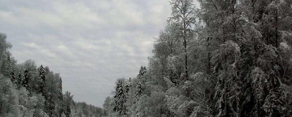 
            Фотография Слободы