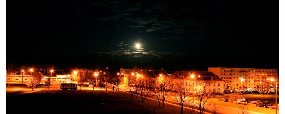 
            Фотография Лоо