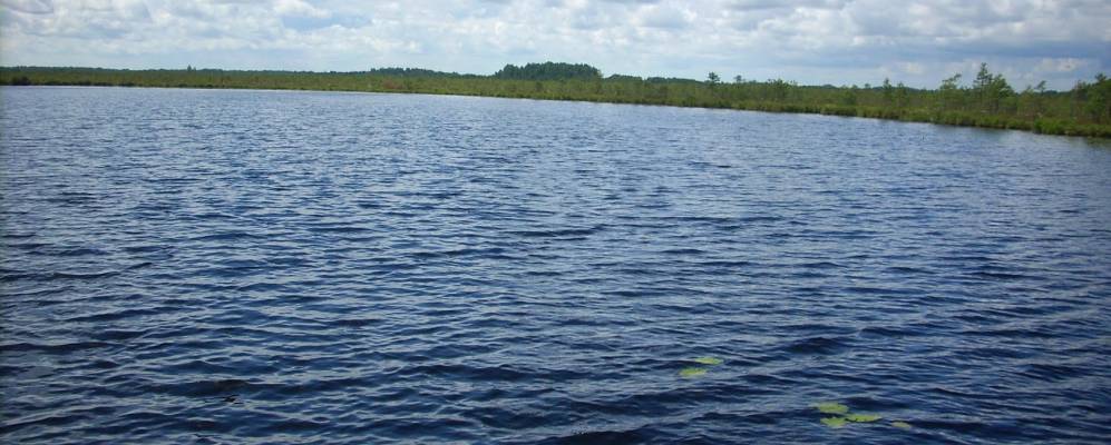 
            Фотография Овинки