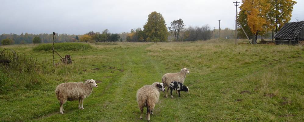 Фотография Подосья