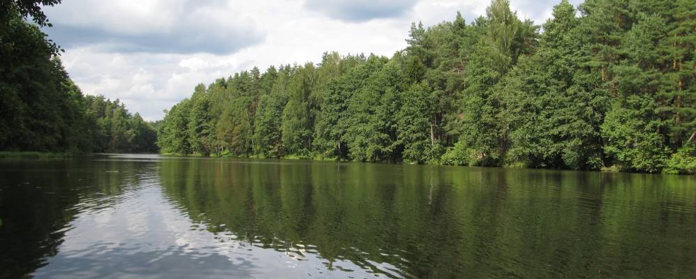 
            Фотография Грезино