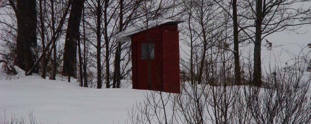 
            Фотография Цедзыны