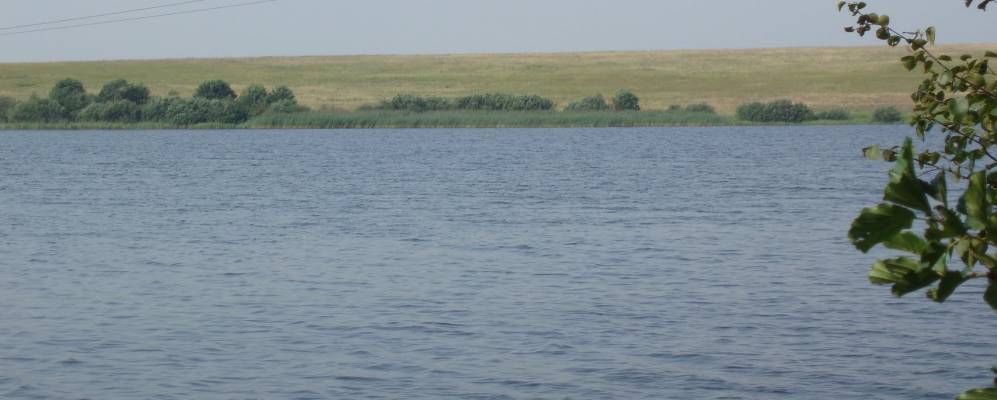 
            Фотография Крутых