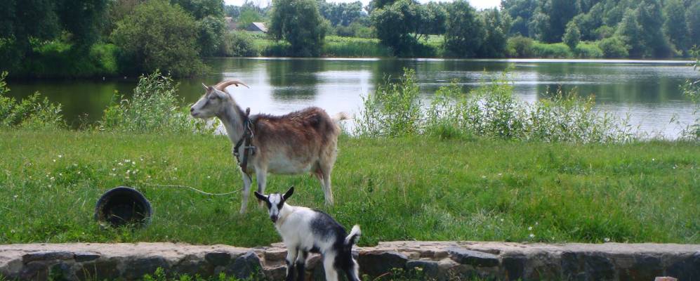 
            Фотография Саверцев
