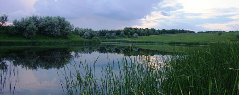 Фотография Куцовки