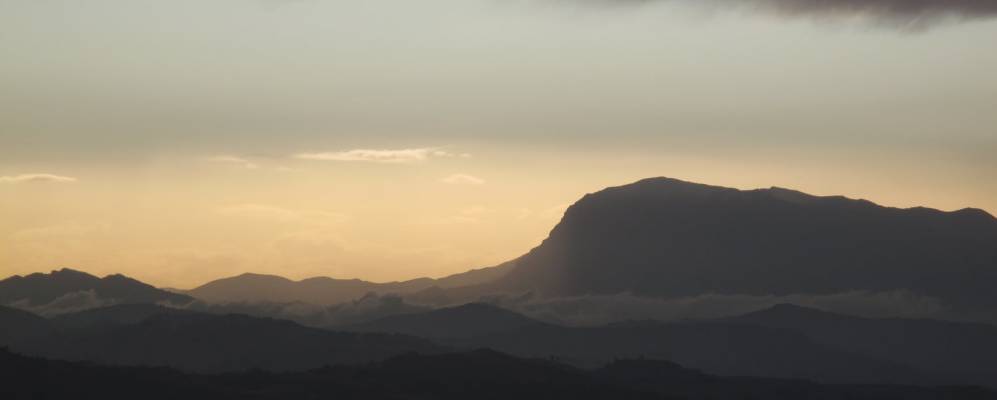 
            Фотография Лапедоны