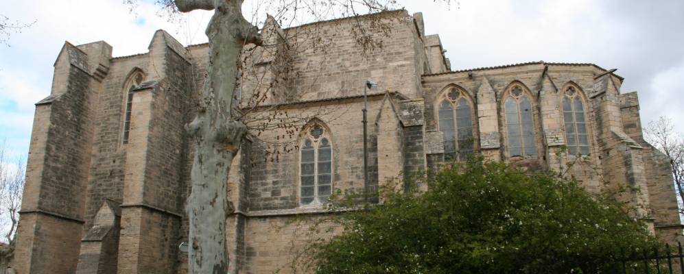 
            Фотография Турба