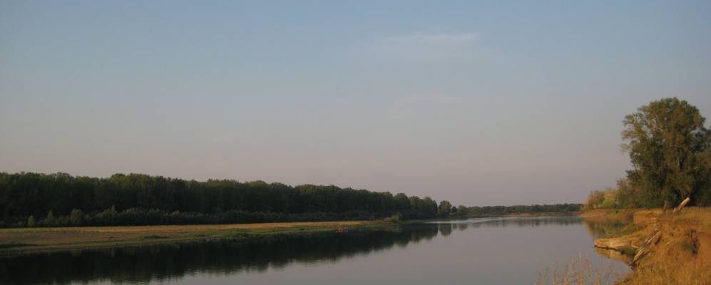 
            Фотография Антоновки