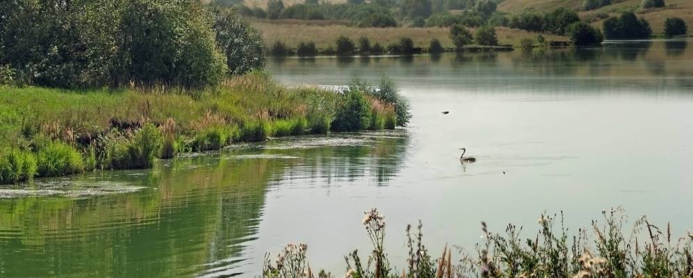 
            Фотография Куриловки