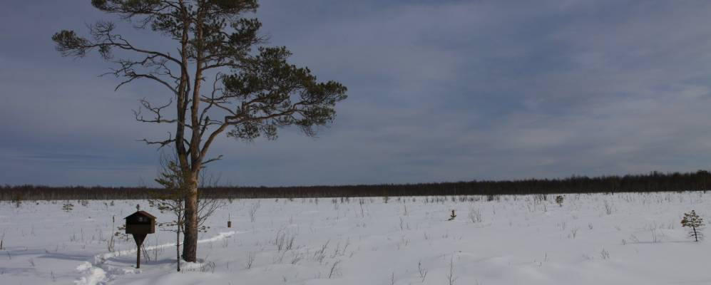 
            Фотография Перевоза