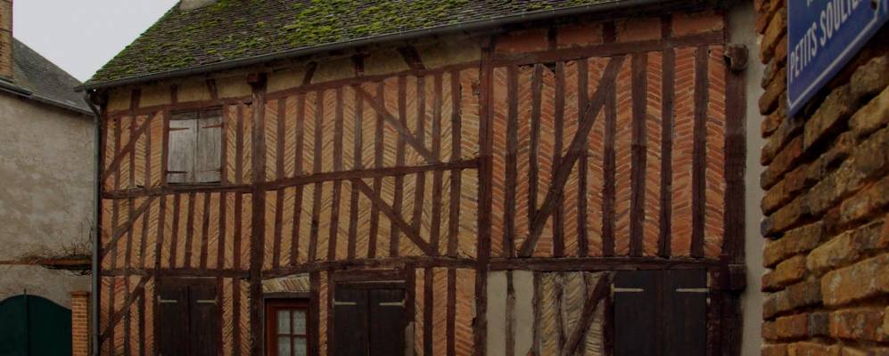 
            Фотография Вузона