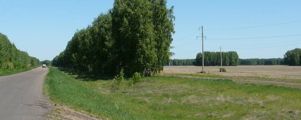 Фотография Зеленовки