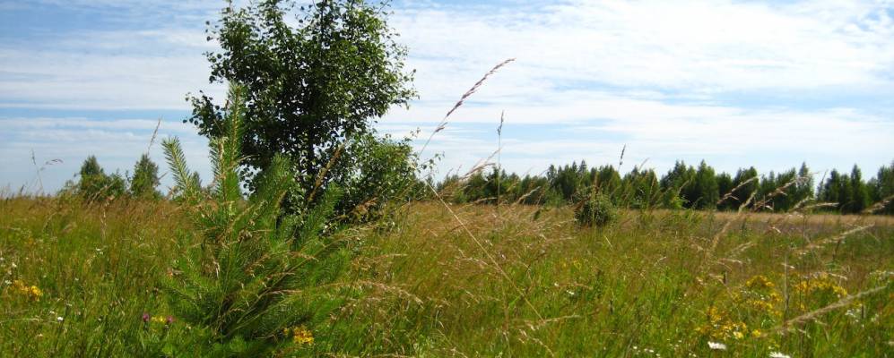 Фотография Карташовки