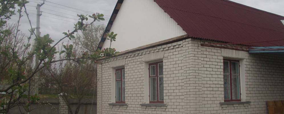 
            Фотография Василева