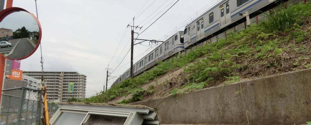 
            Фотография Оами