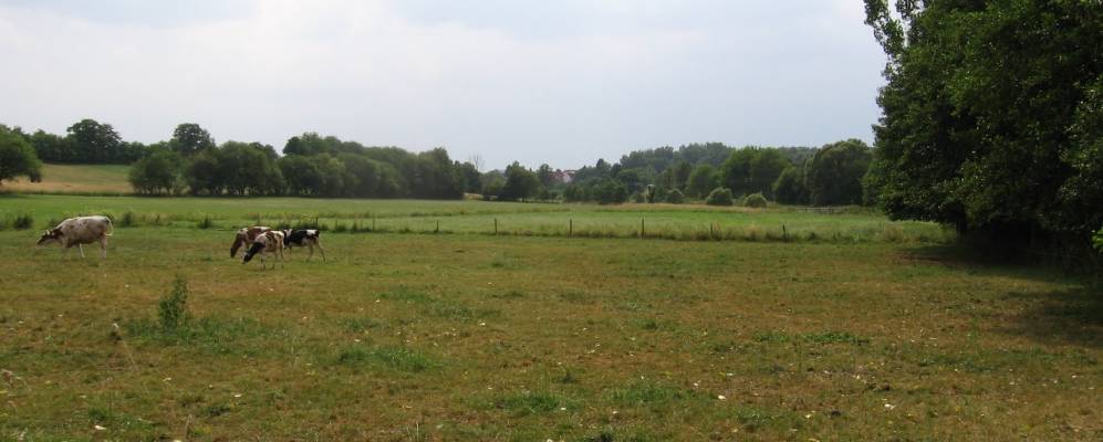 
            Фотография Мюке