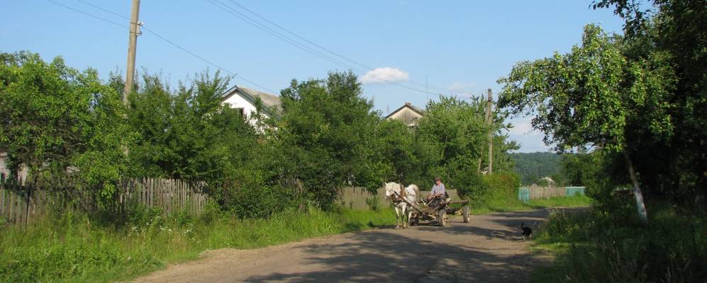 
            Фотография Завоя