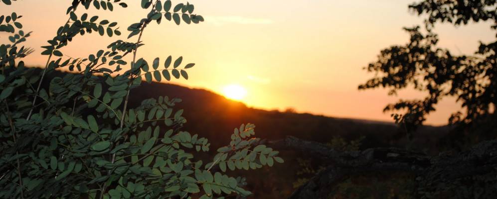 Фотография Малой Хмелевой