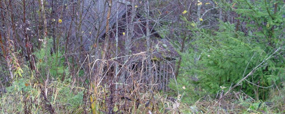 Фотография деревни Борки