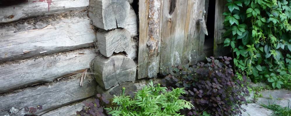 Фотография Кстово