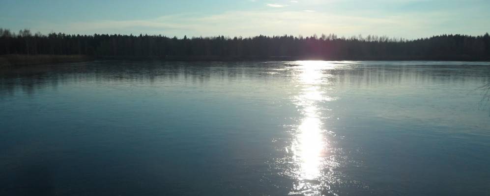 
            Фотография Трубятино