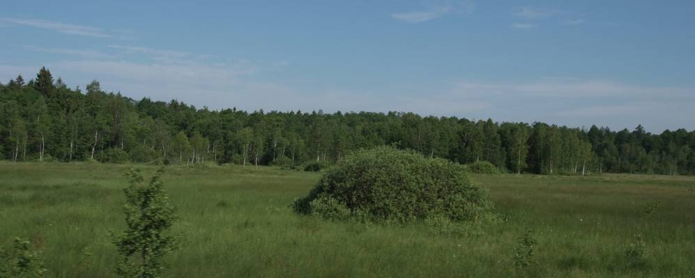 Фотография Юзефина